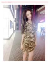 WD5663 Sexy Dress Brown