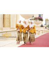 HA043 Lovely Wedges Pink