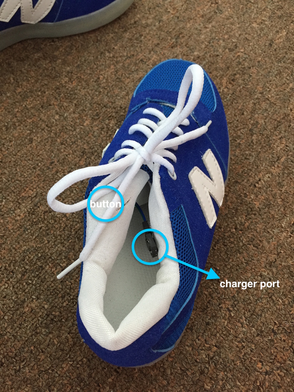 WS003 Cool Multi Colour LED Shoes Blue