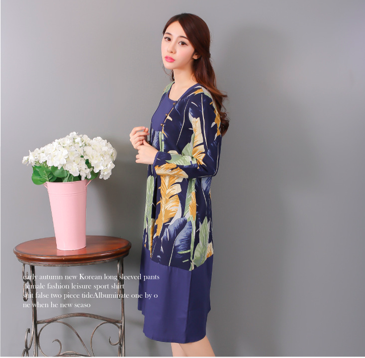 WD6664 Fashion Dress Dark Blue