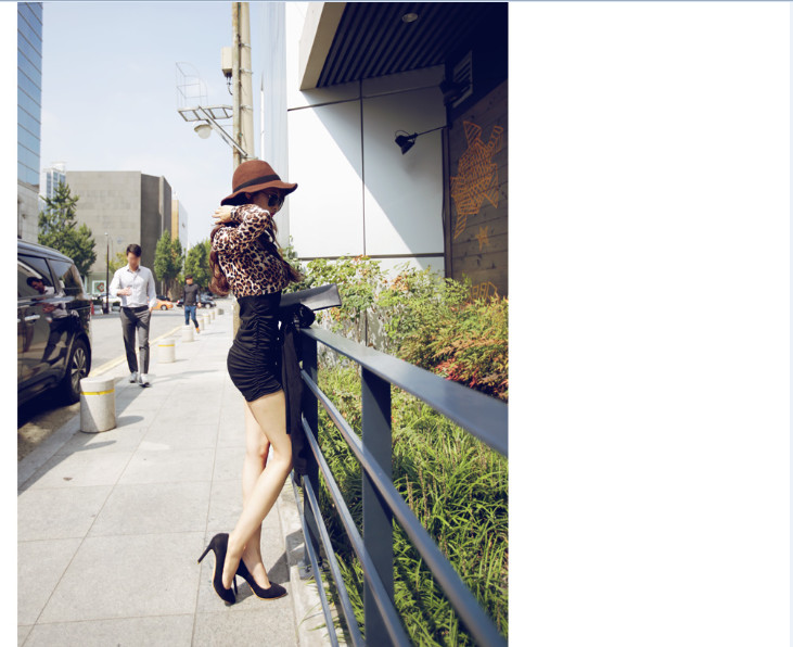 WD6690 Sexy Hugging Dress As Picture