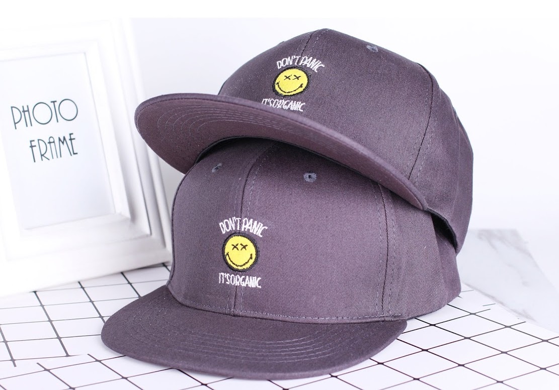 QA-317 Stylish Embroidery Cap Grey Don't Panic