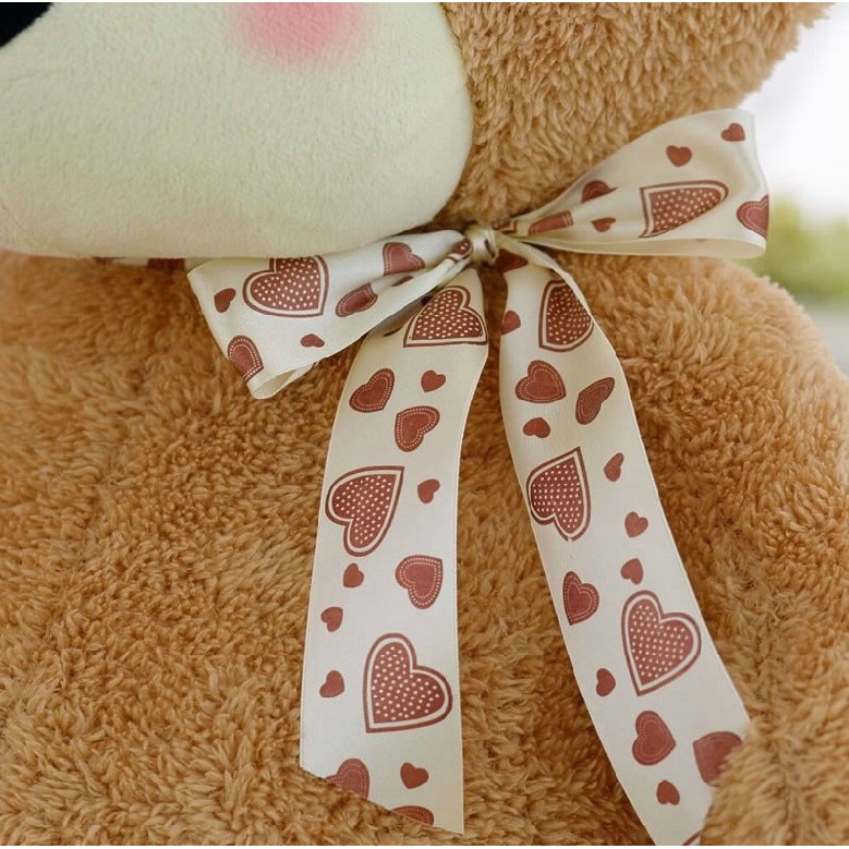 HM 853 Cute Teddy Bear